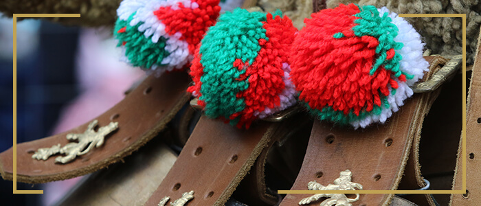 Bulgaristan Festival