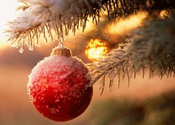 Yılbaşı Bansko Kayak Turu - Otobüs ile